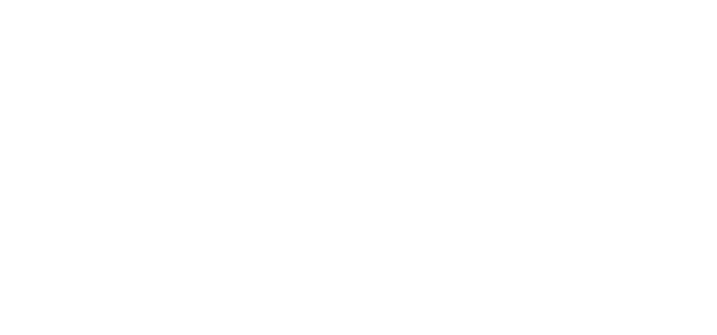 The Balkan Forum